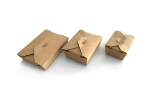 1000 ML KENDİNDEN KAPAKLI KRAFT YEMEK KUTUSU